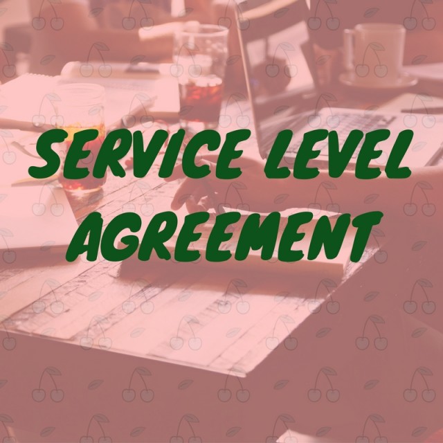 Service Level Agreement for Startups