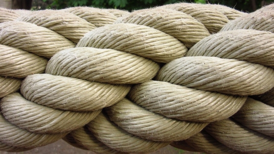 Trademark Class 22: Ropes, Tarpaulins and Bags
