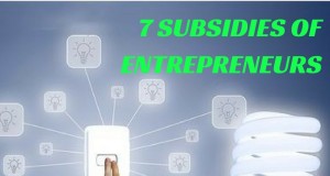 7 Subsidies of Entrepreneurs