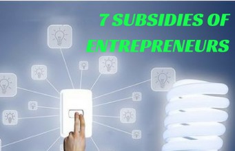 7 Subsidies of Entrepreneurs