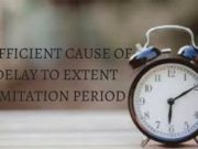 SUFFICIENT CAUSE OF DELAY TO EXTENT LIMITATION PERIOD