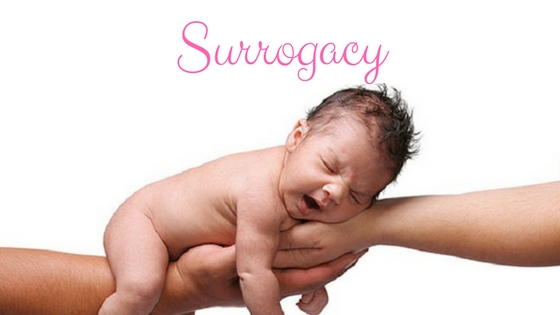 Surrogacy Agreement Along With Model Format