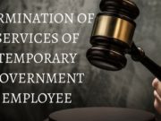TERMINATION OF SERVICES OF TEMPORARY GOVERNMENT EMPLOYEE