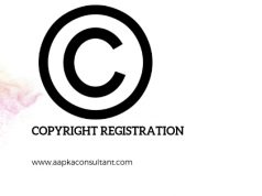 ADVANTAGES OF FILING A COPYRIGHT REGISTRATION