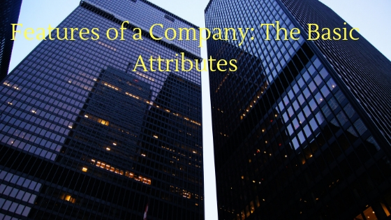 Features of a Company: The Basic Attributes