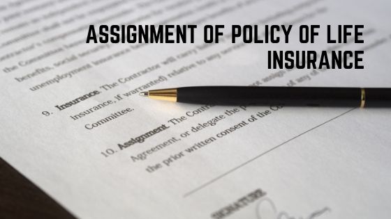 assignment terms for insurance