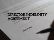 Director Indemnity Agreement