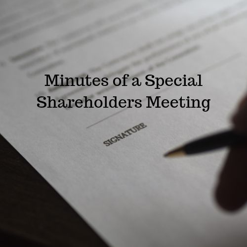 Minutes of a Special Shareholders Meeting