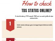 how to check tds status online