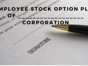 Employee Stock Option Plan of __________________ Corporation