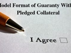 Model Format of Guaranty Without Pledged Collateral