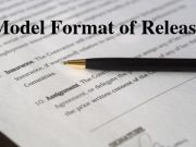 Model Format of Release