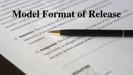 Model Format of Release
