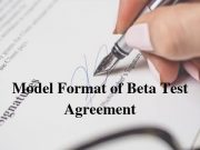 Model Format of Beta Test Agreement