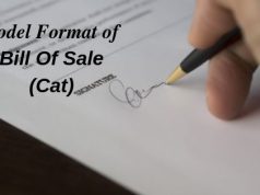 Model Format of Bill Of Sale (Cat)