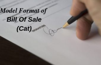 Model Format of Bill Of Sale (Cat)
