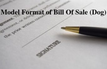 Model Format of Bill Of Sale (Dog)