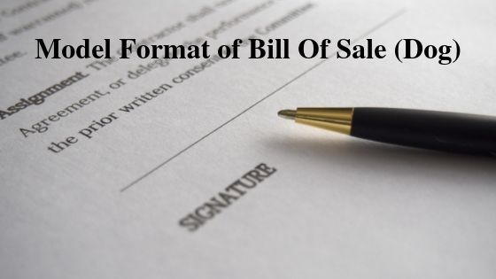 Model Format of Bill Of Sale (Dog)