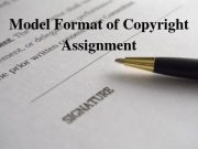 Model Format of Copyright Assignment