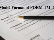 Model Format of FORM TM- 1