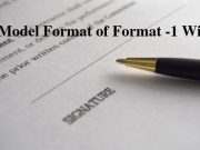 Model Format of Format -1 Will