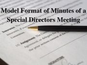 Model Format of Minutes of a Special Directors Meeting