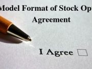 Model Format of Stock Option Agreement