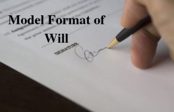 Model Format of Will