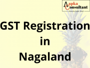 GST Registration in Nagaland