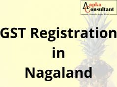 GST Registration in Nagaland